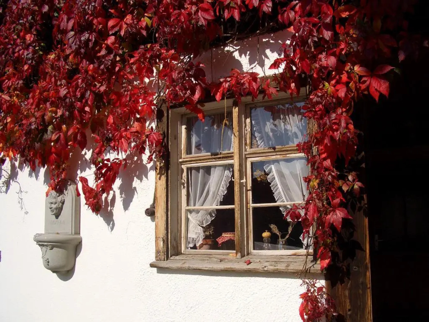 Landgasthof Rössle - Beim Kräuterwirt