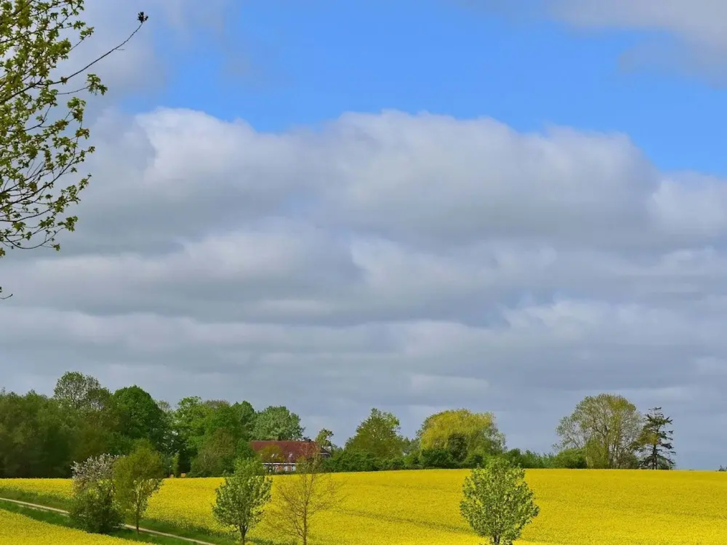 Ferienwohnung im Gutshaus Schulenbrook
