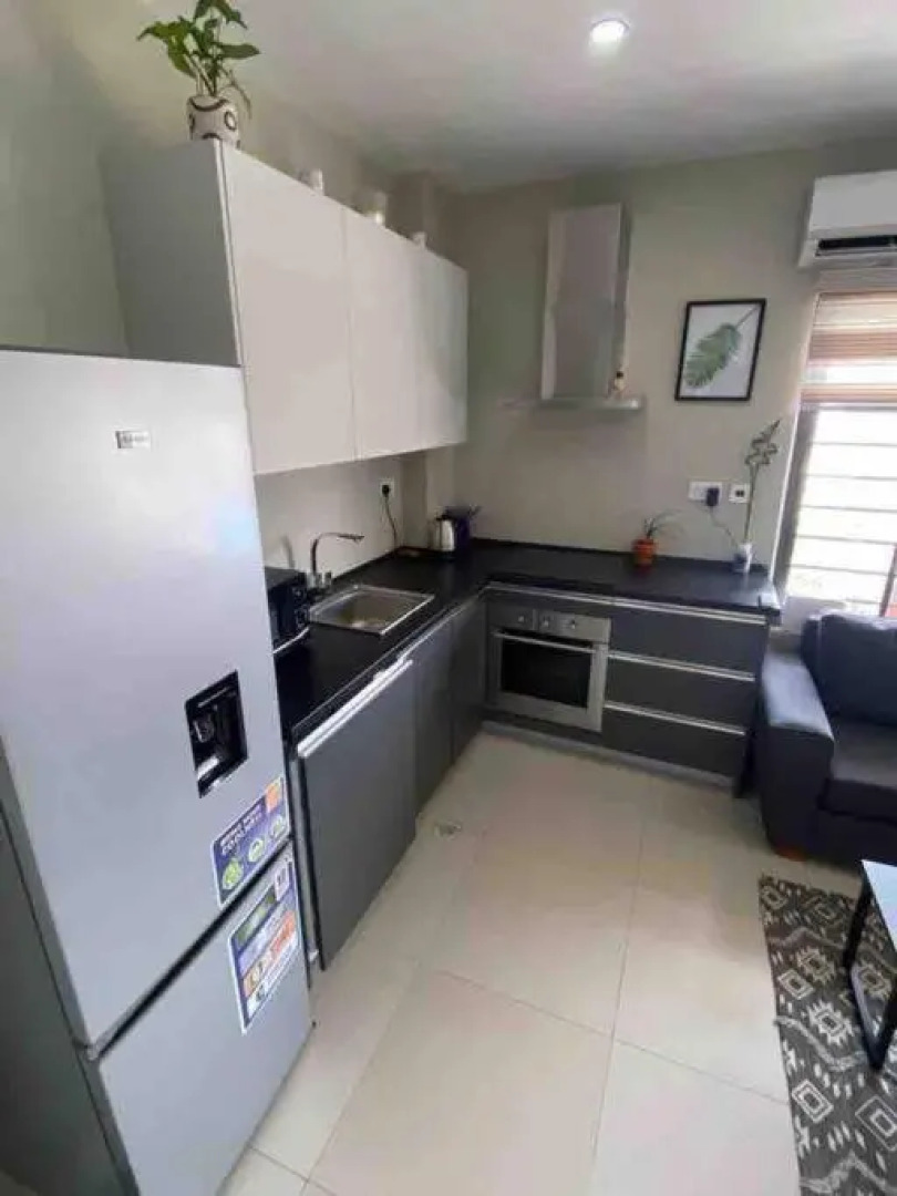 Newly Renovated 1Bd Apt in Heart of Osu