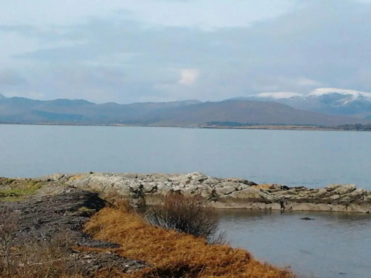 Westland Apartment No. 1