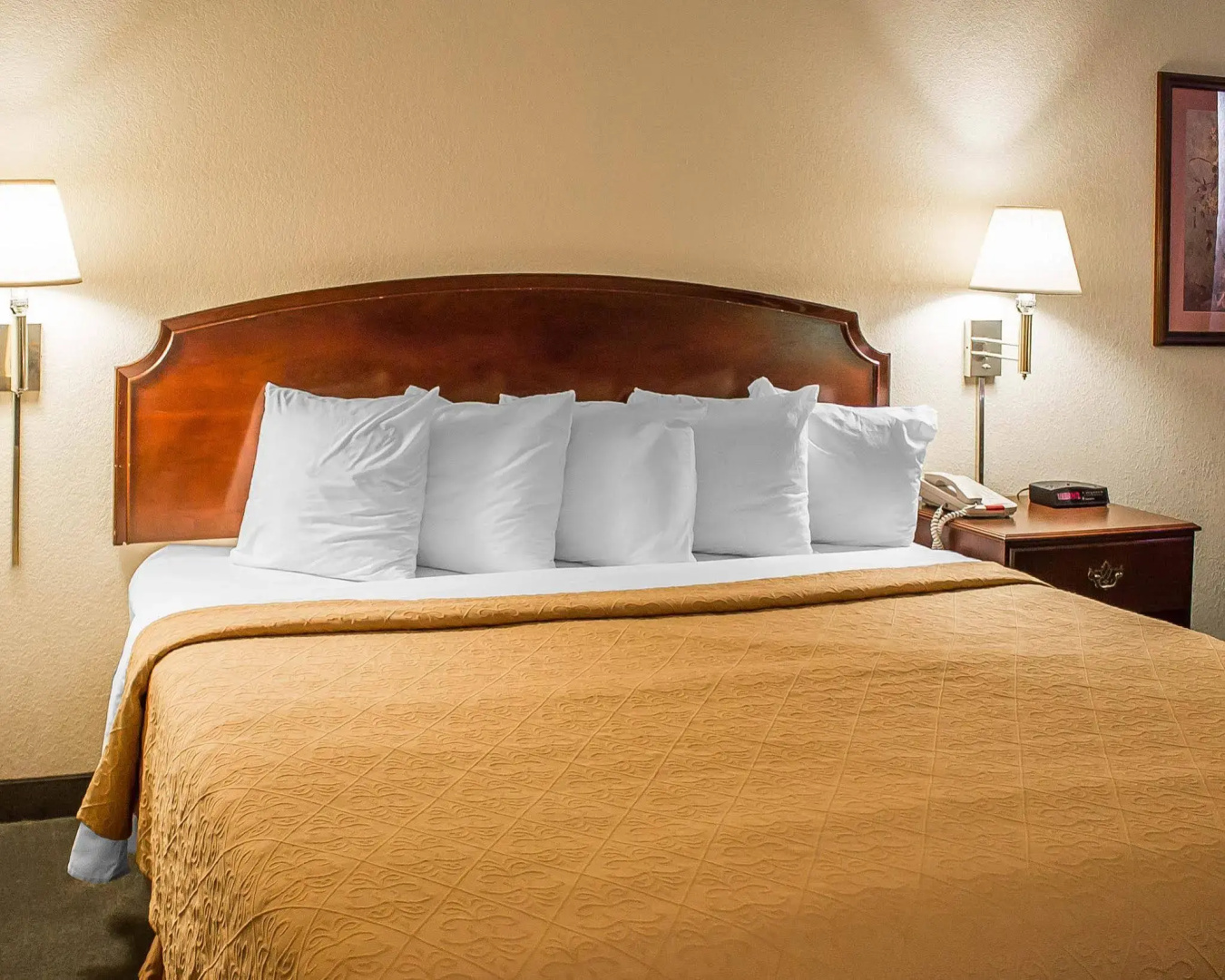 Quality Inn & Suites Bellville - Mansfield