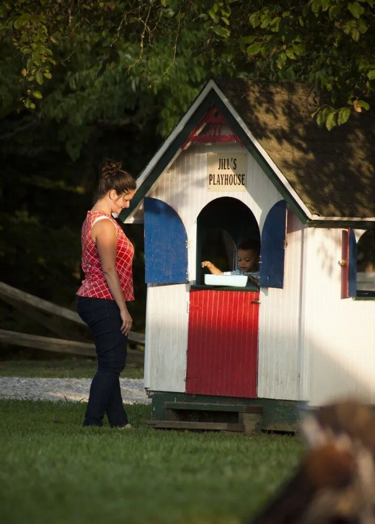 Nolichuckey Bluffs Cabins