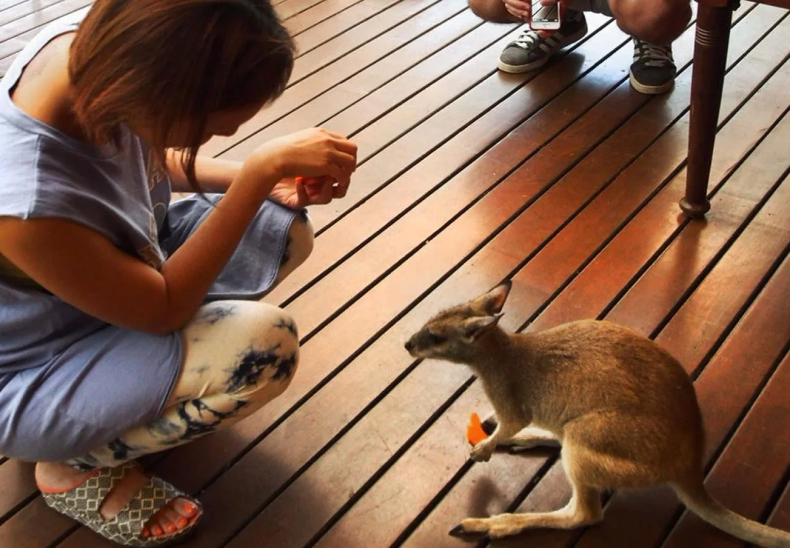 Cedar Park Rainforest Resort