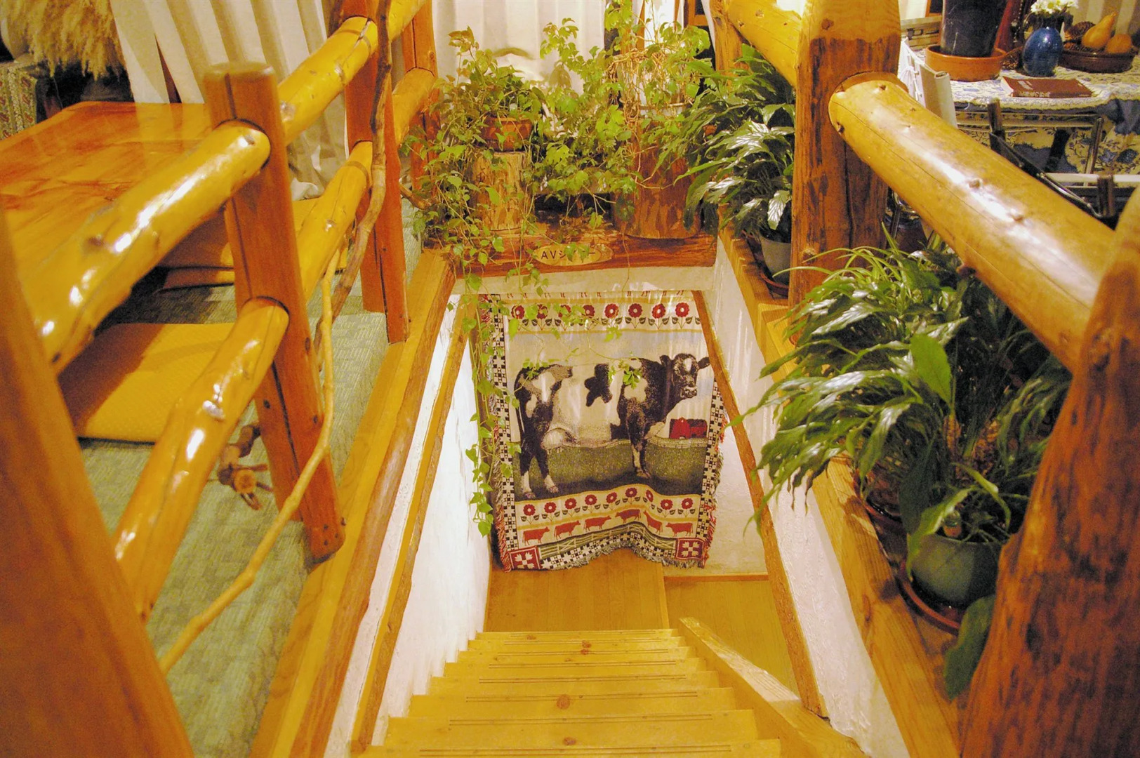 Country Inn Milky House