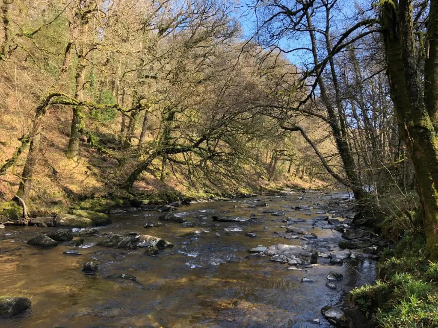 Enchanted Retreats at West Ford Devon