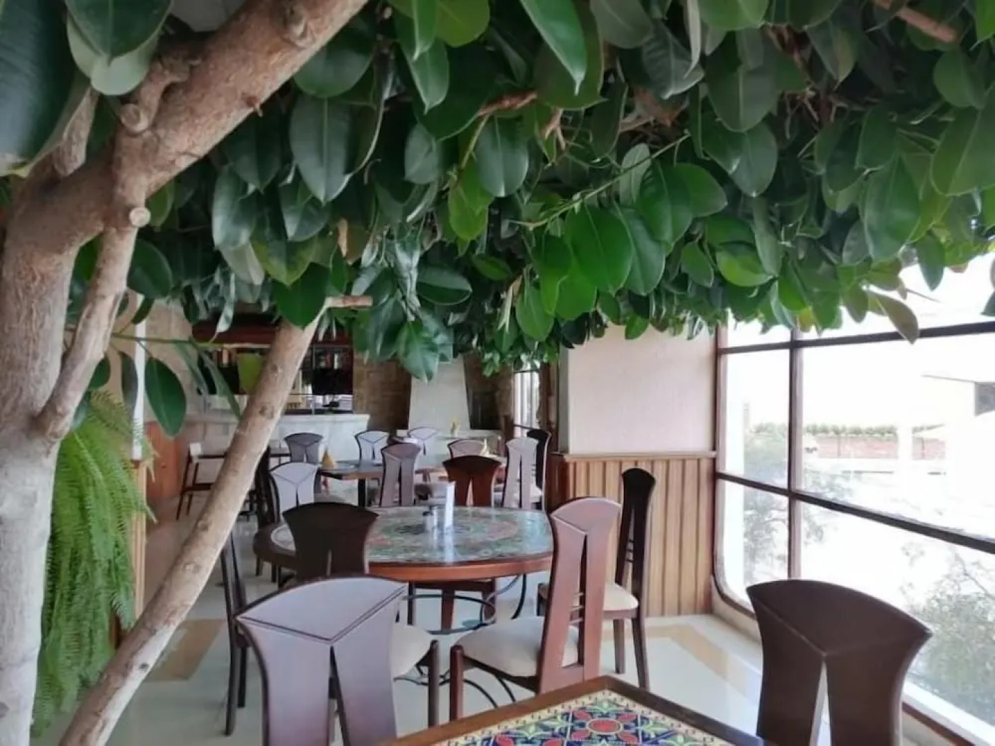 Hotel Chimborazo Internacional