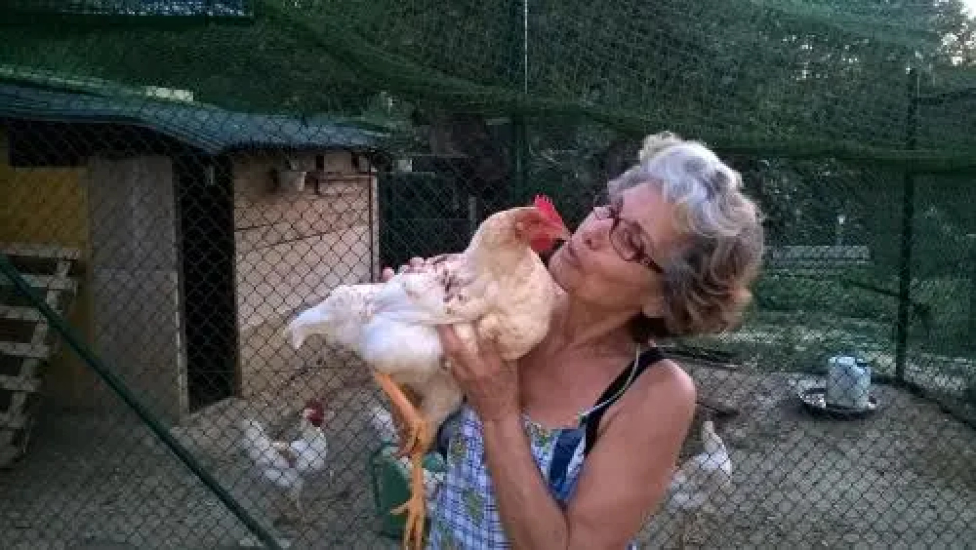 Colonica Poggio Renai