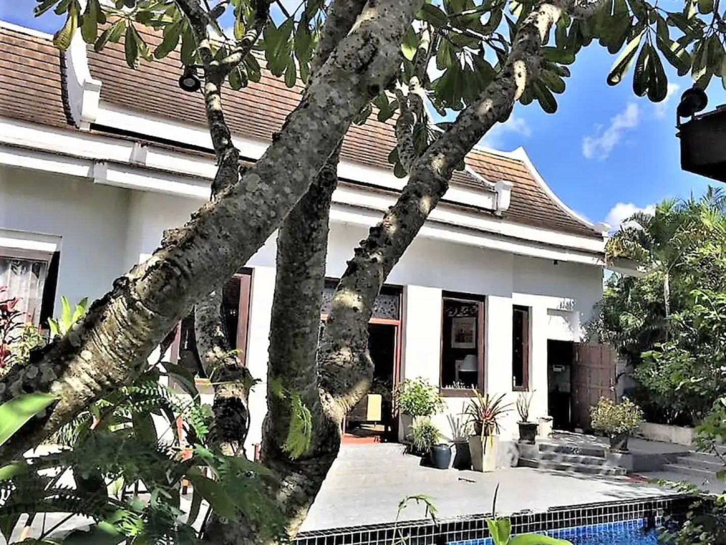 The White Elephant House