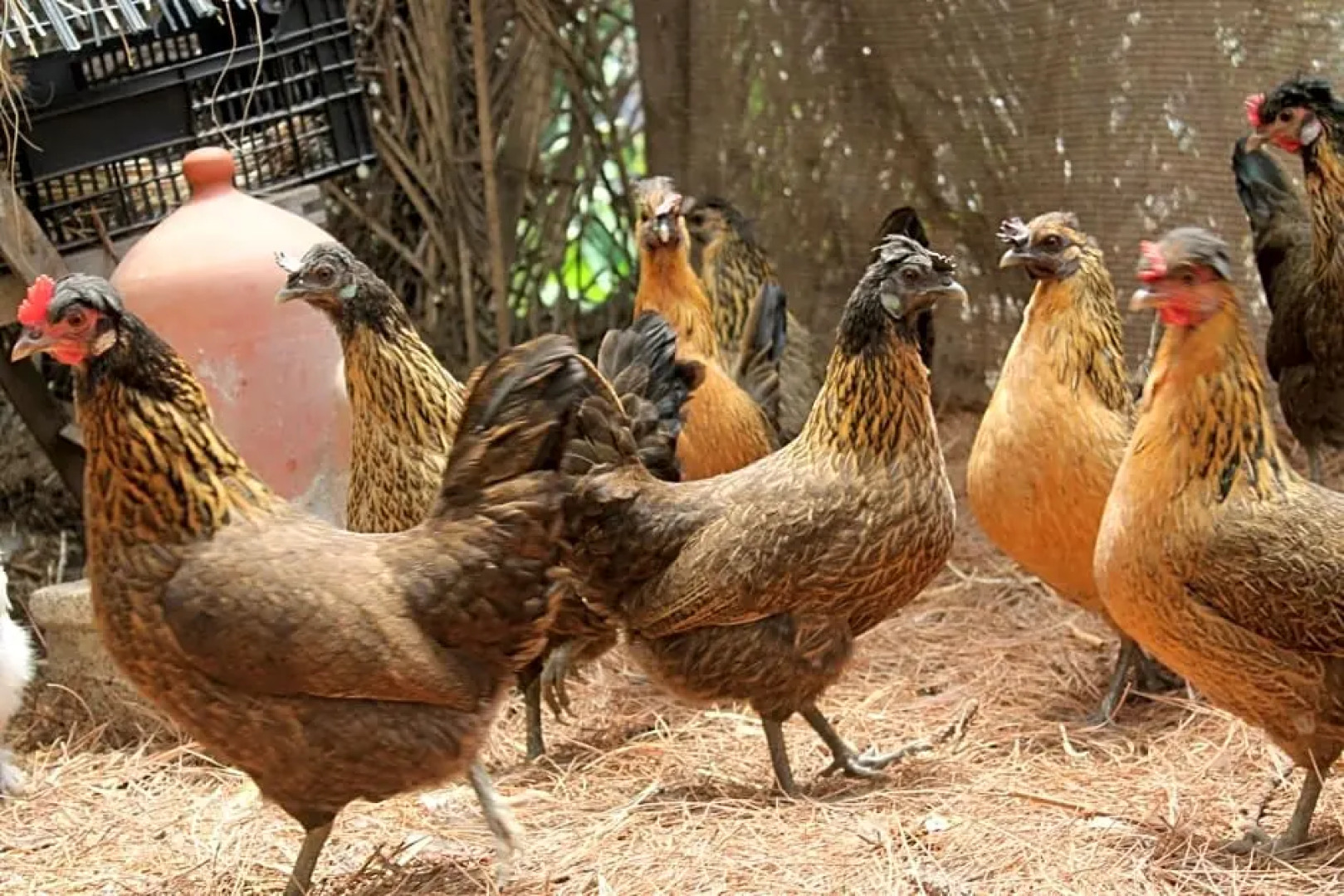 Rivendell Centro de Arte y Retiro-Hostel