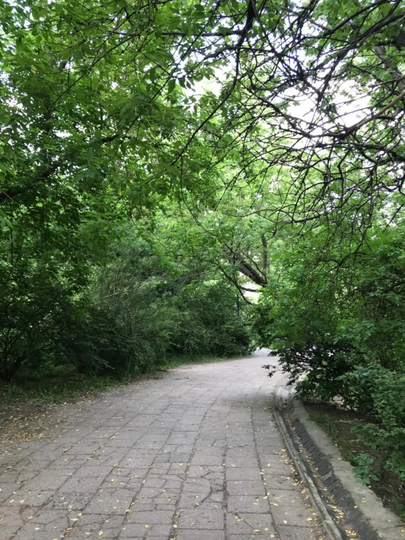 Royal Garden Apartment