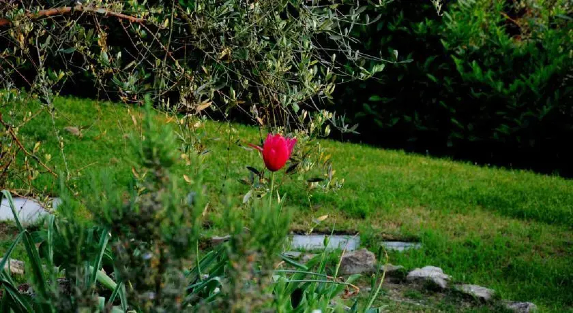 Casa Vacanze in Geggiano