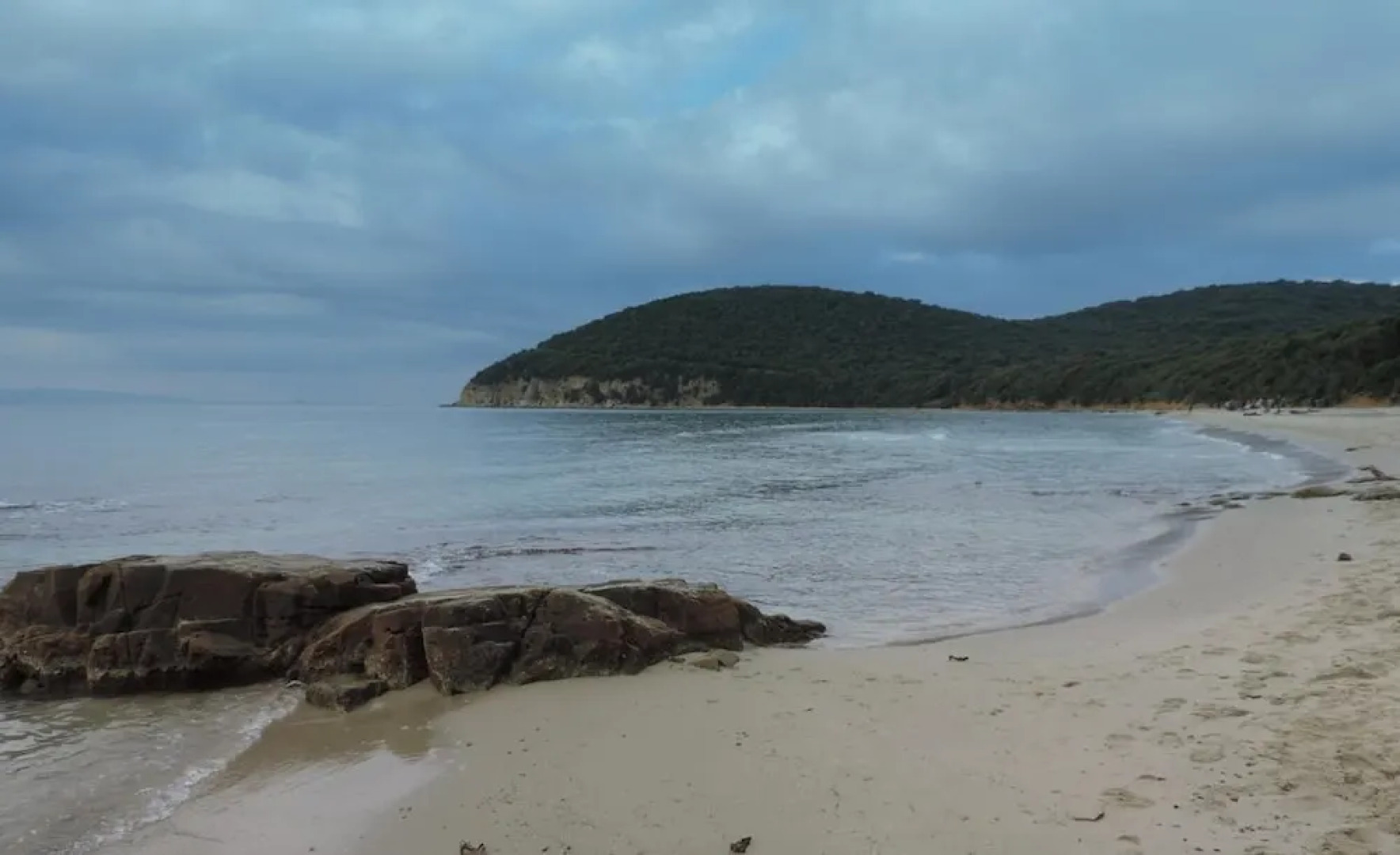 Agriturismo Colli di Travale