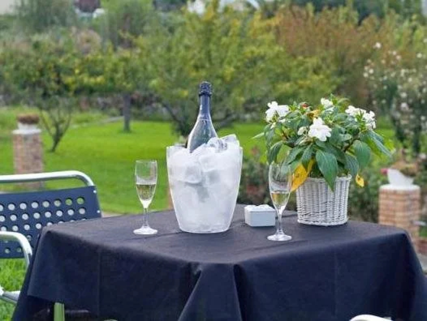 El Abuelo de la Cachava