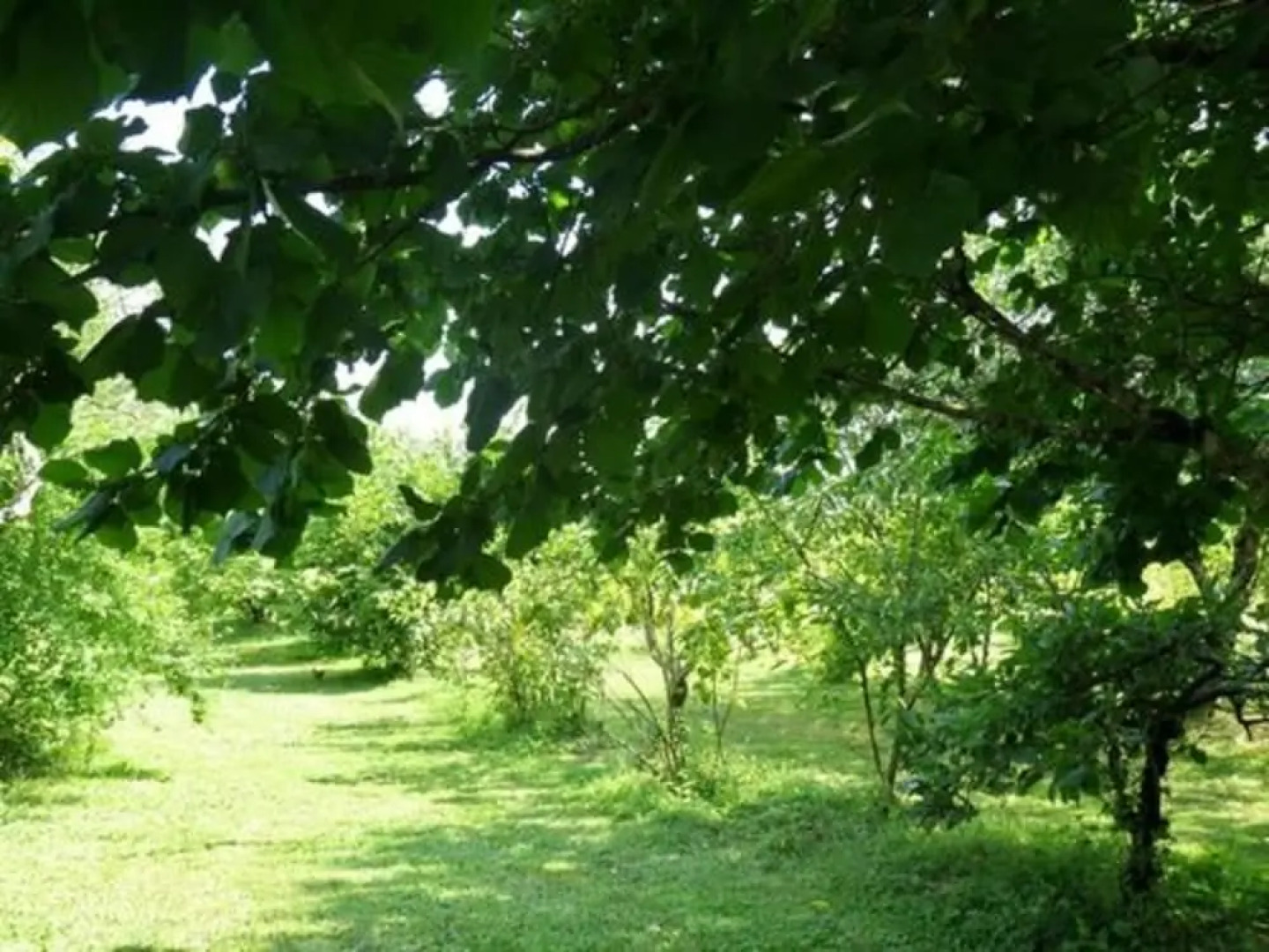 Domaine les Messauts - Gîte Le Cerisier