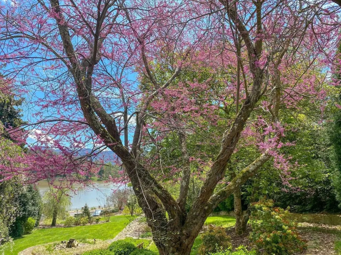 The Terrace at Lake Junaluska