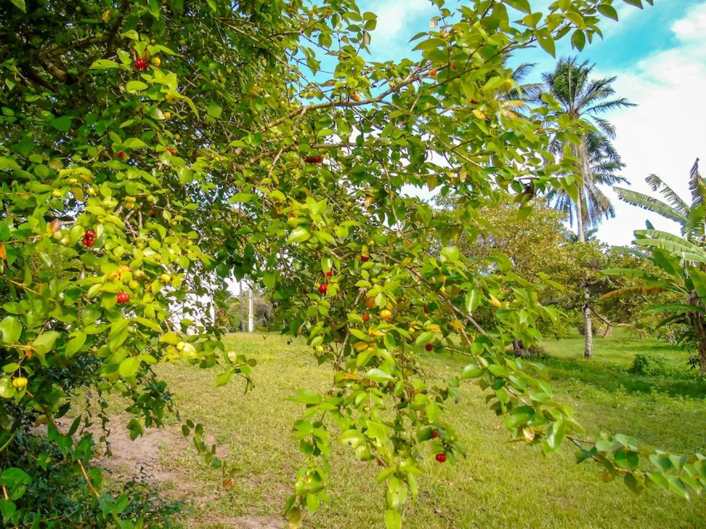 Hotel Fazenda Recanto