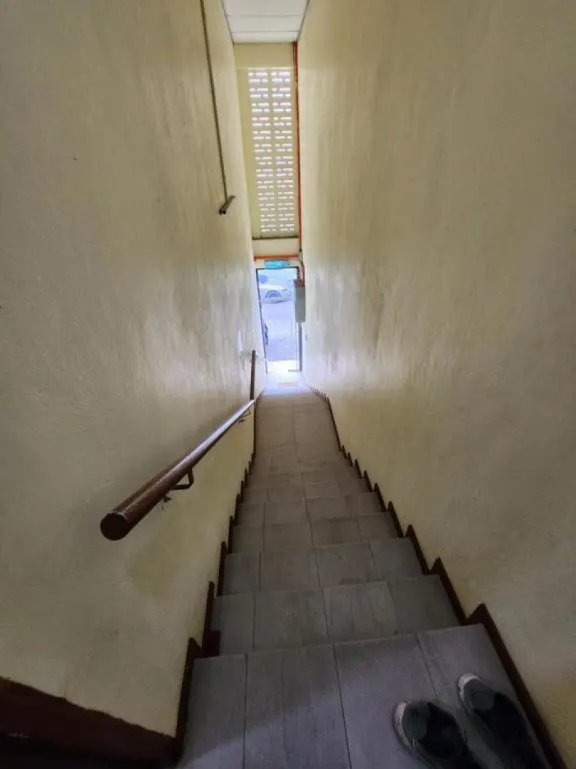 LTH (Little Turtle's Home)