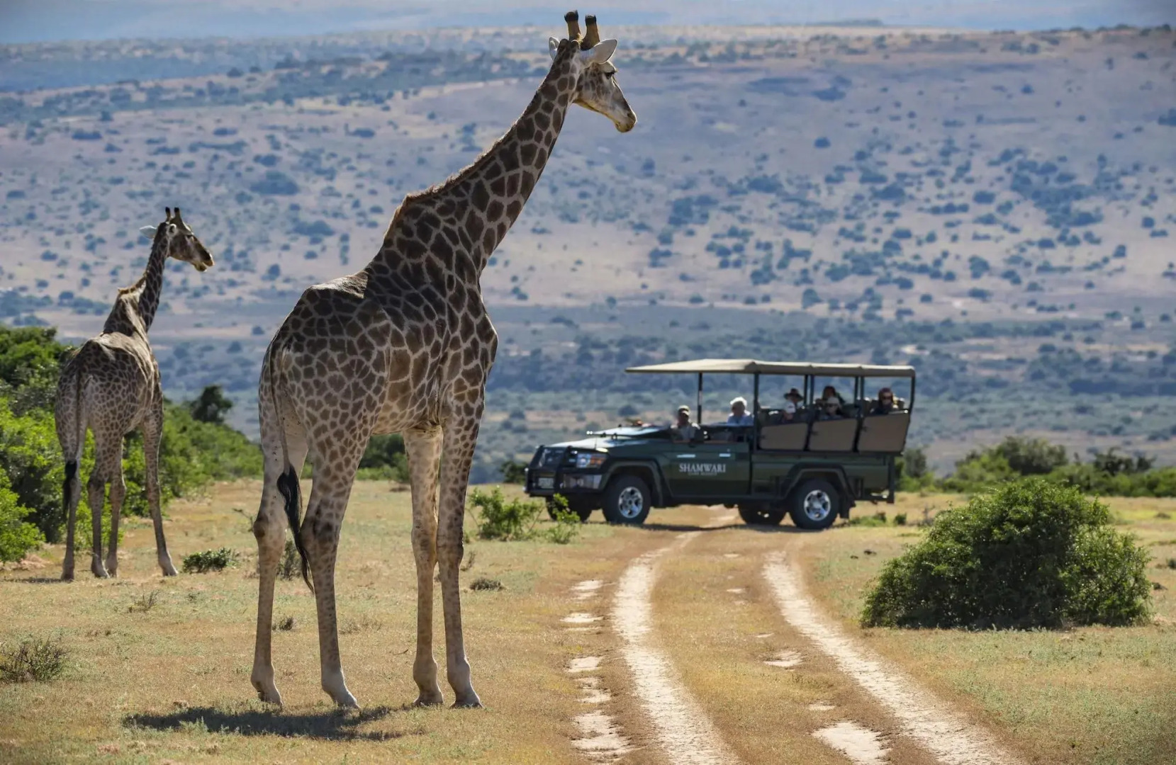 Shamwari Eagles Crag