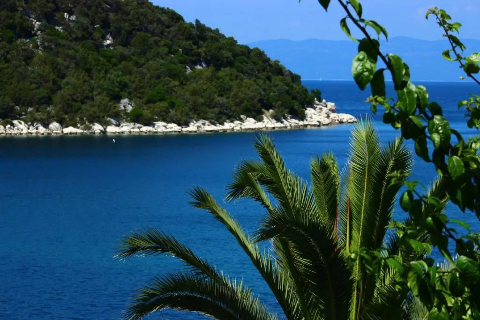 Apartments Leo Katić