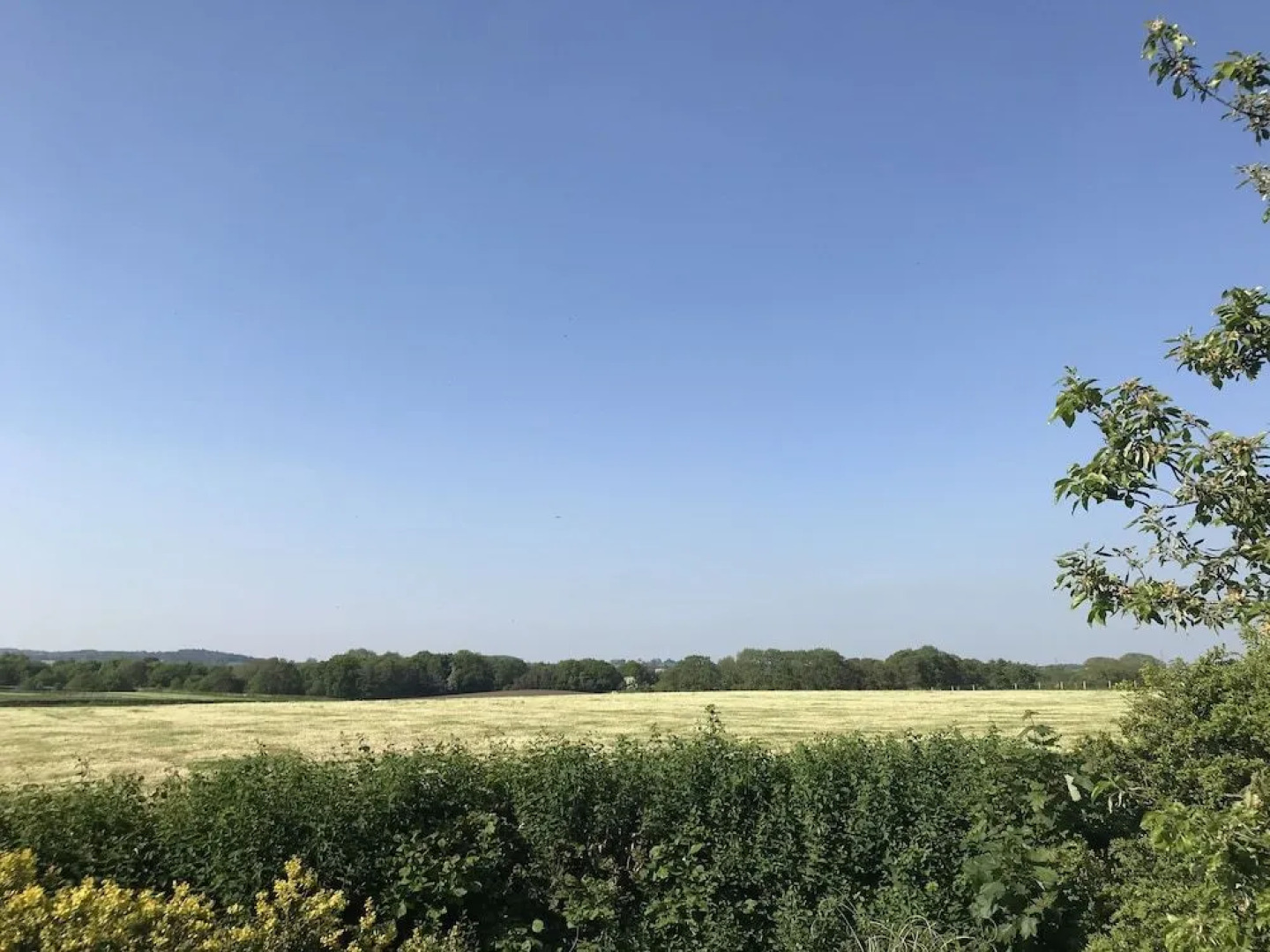 Broncoed Uchaf Country Guest House