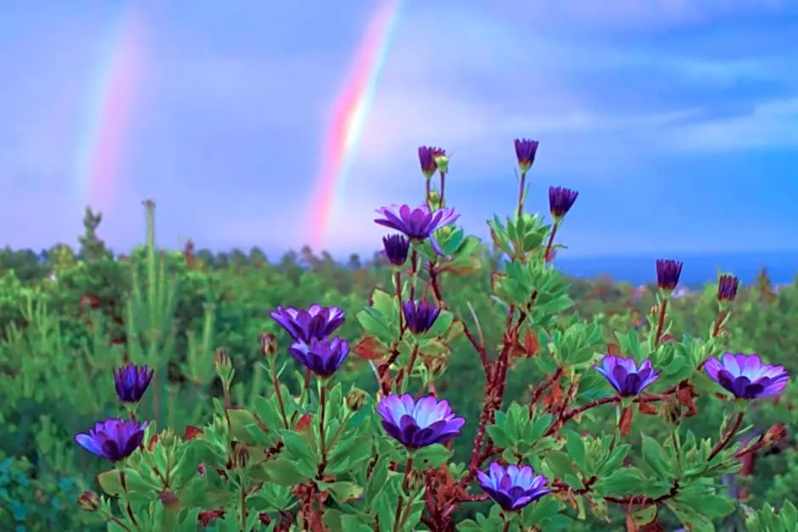 Risør Bed & Breakfast, Randvik Strand
