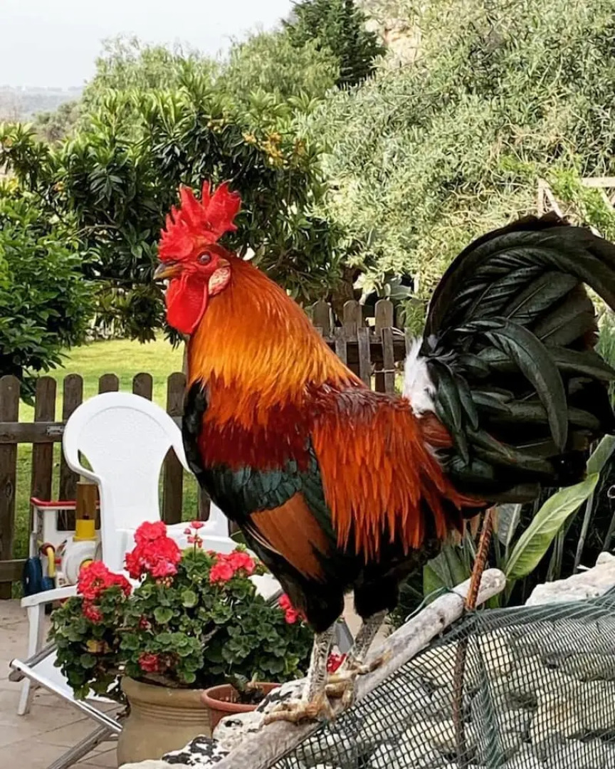 Masseria Santacatrini