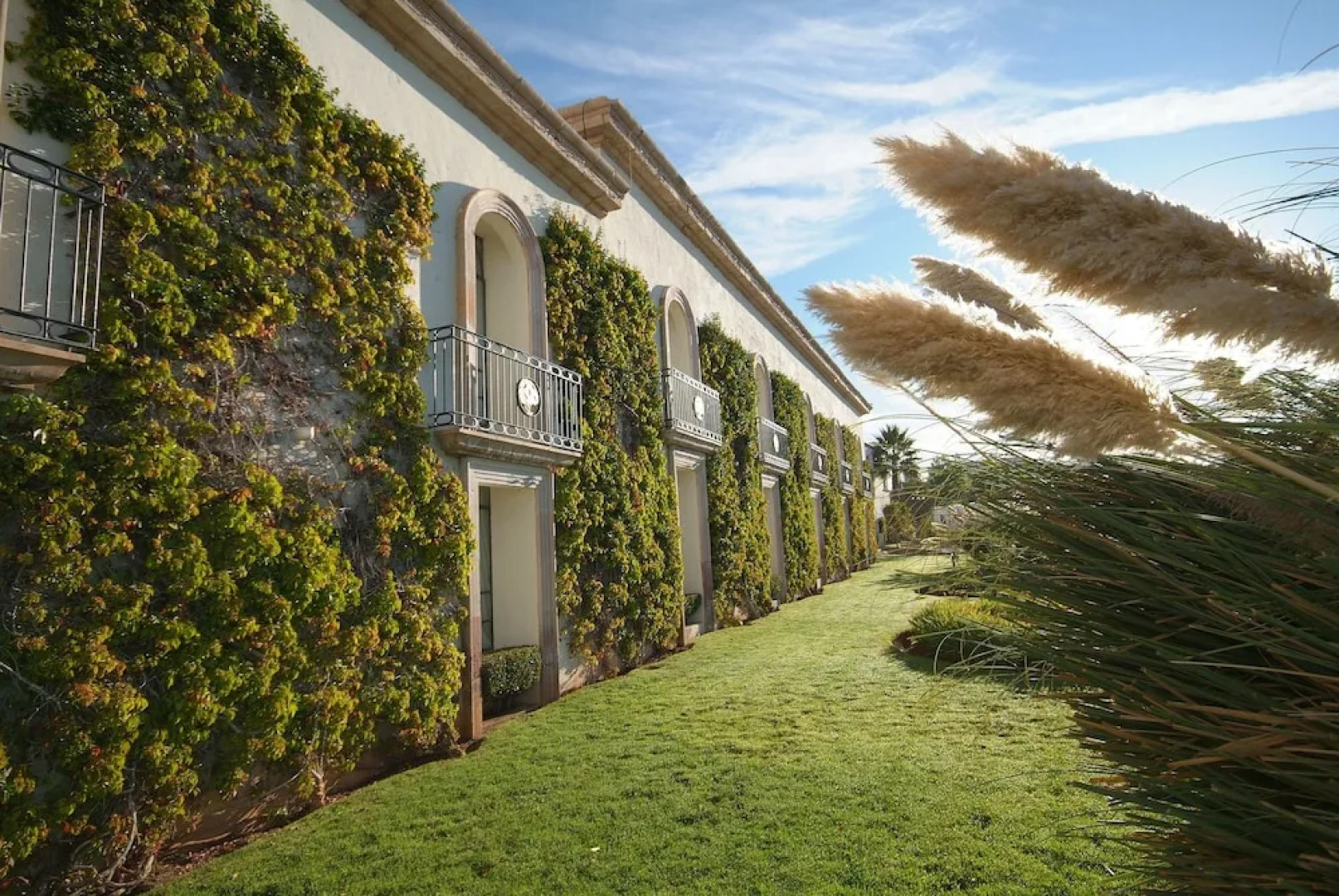 Hotel Spa Hacienda Del Bosque