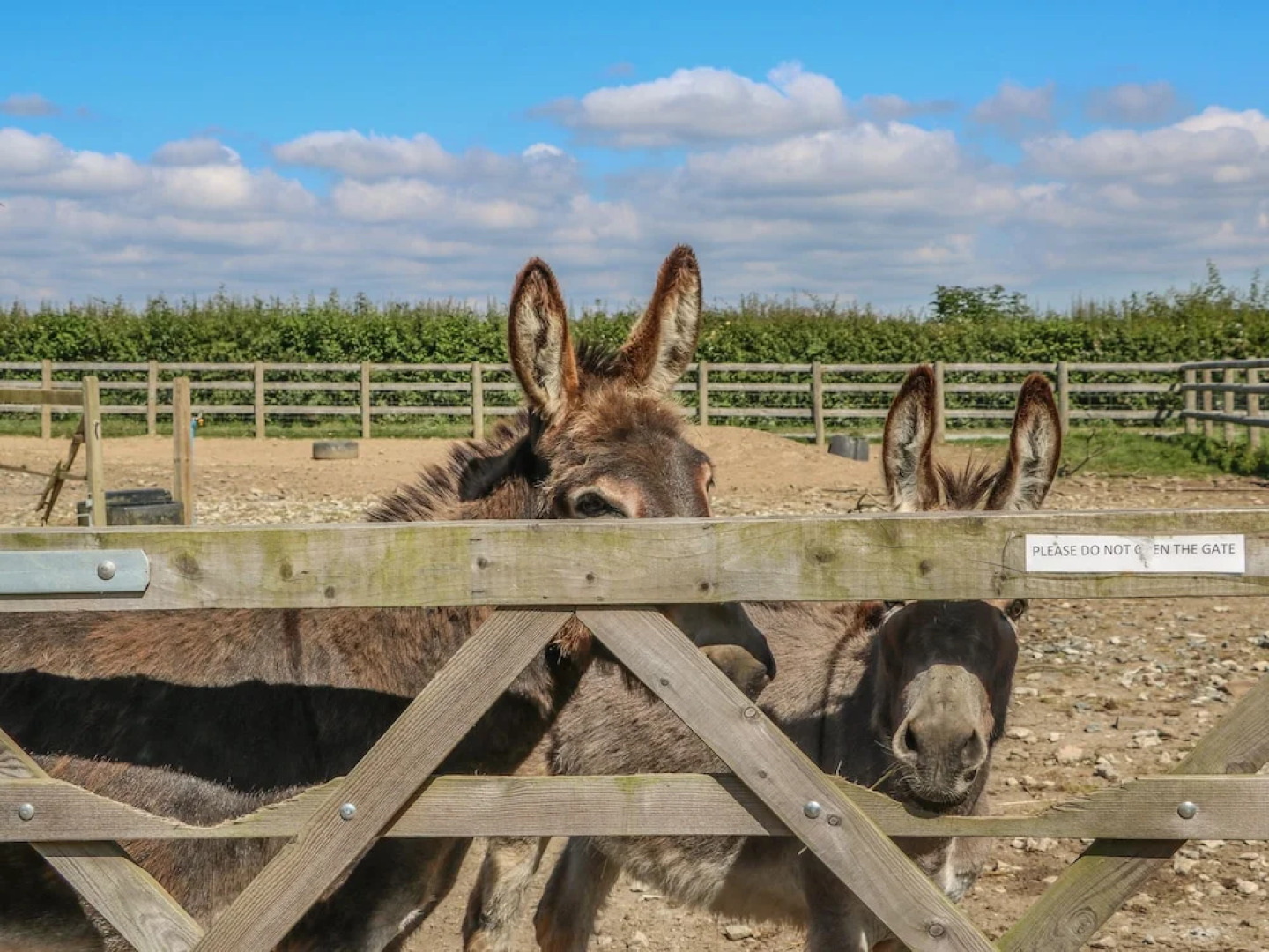 White Hen Kingslakes