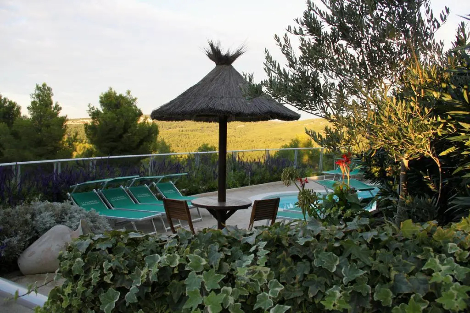 La Palmeraie des Calanques