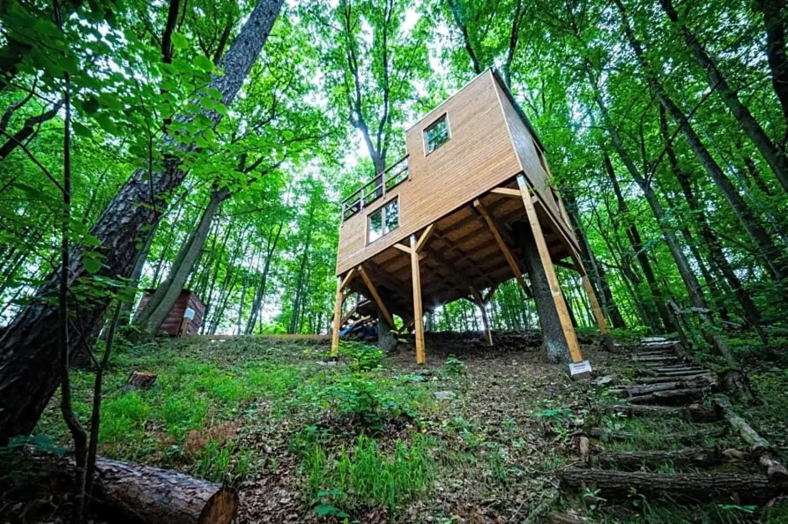 Treehouse Zlatá Koruna