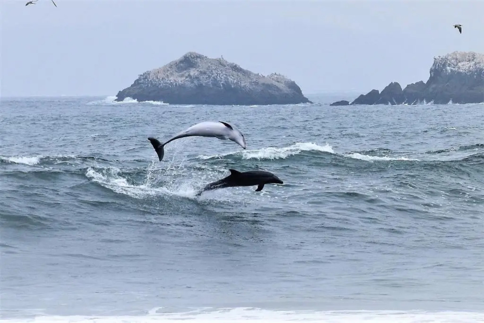 Waves Surf Camp Peru - Hostel