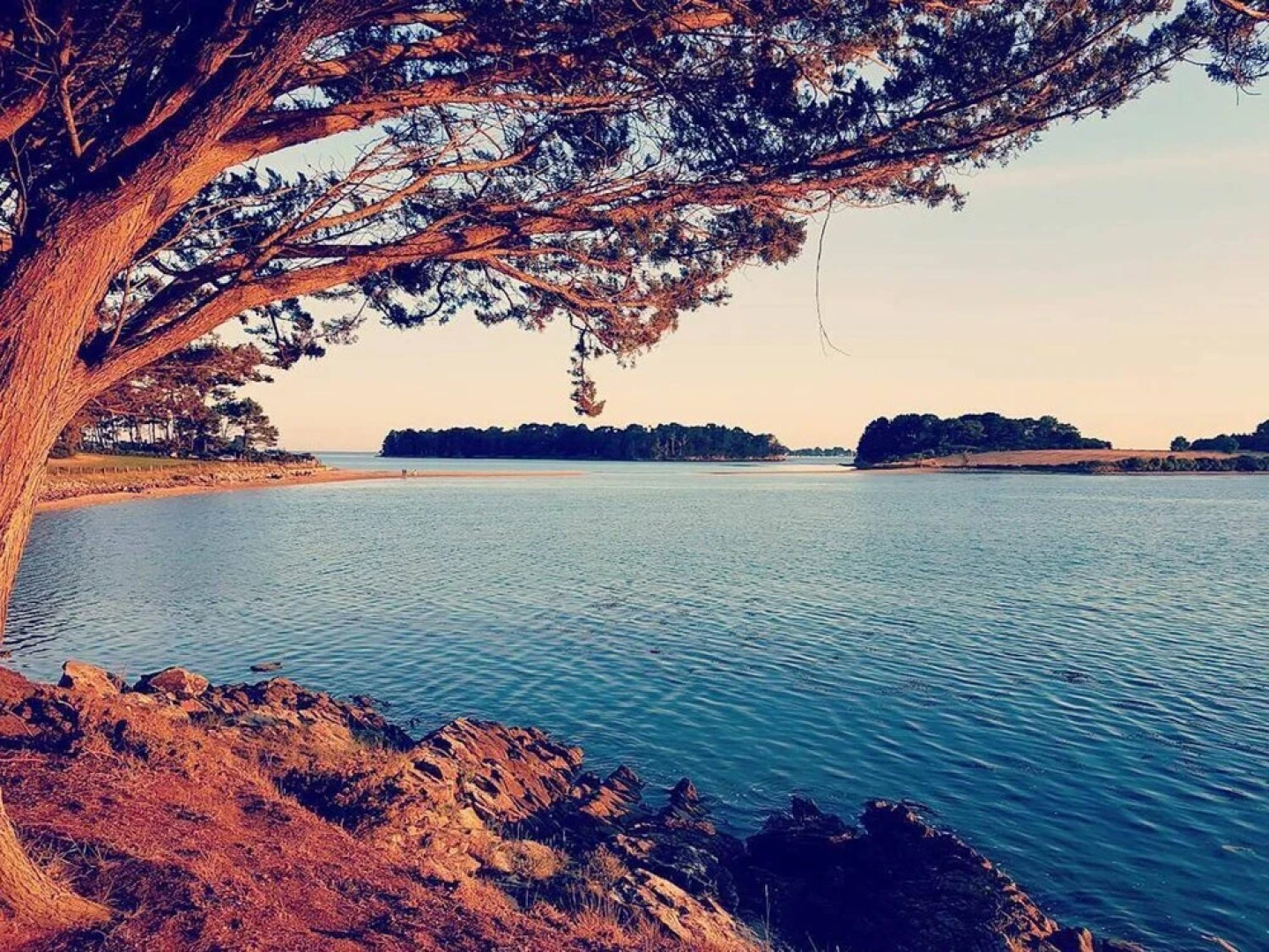 Appartement Duplex proche Port avec vélos