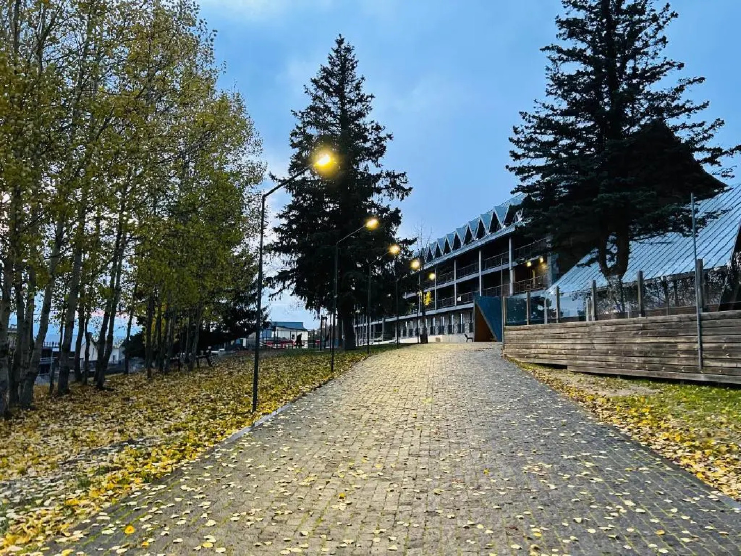 Отель Panorama By Mgzavrebi