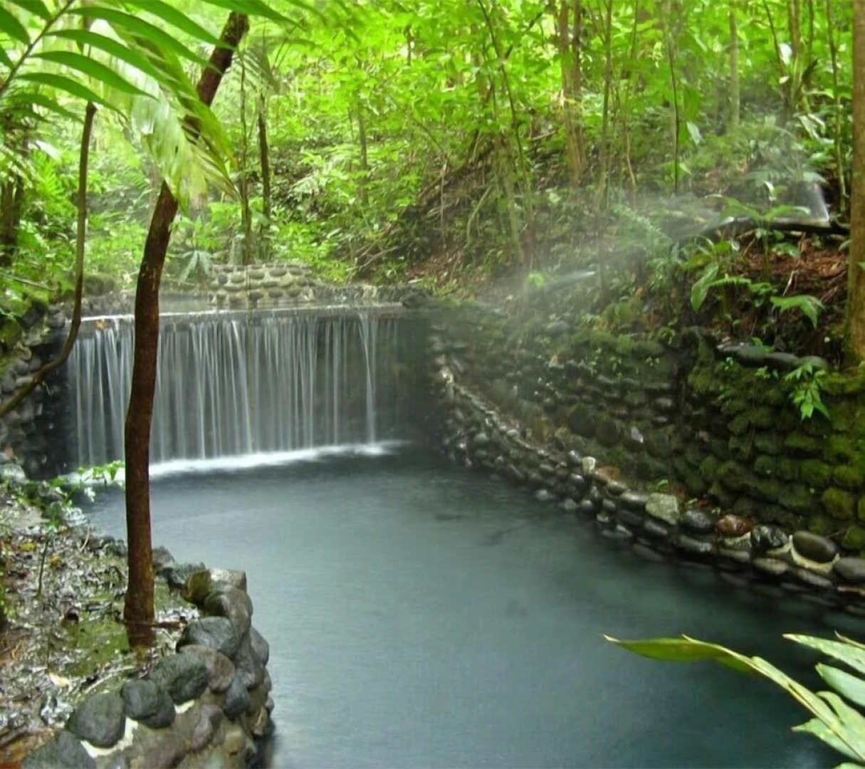 Eco Granja Sostenible Don Lolo