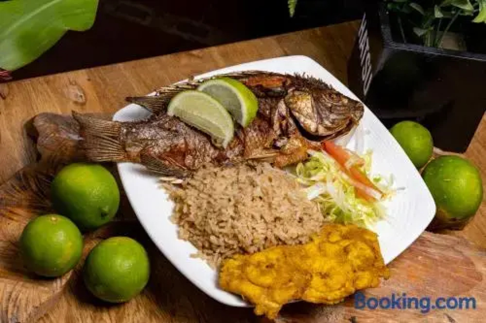 The Beach Hostel Cartagena