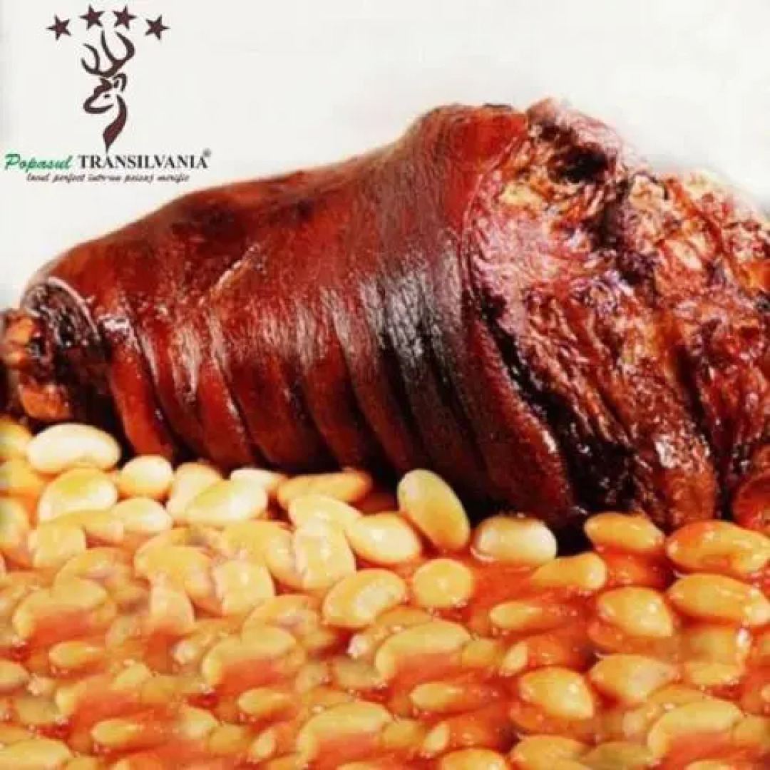 Popasul Transilvania