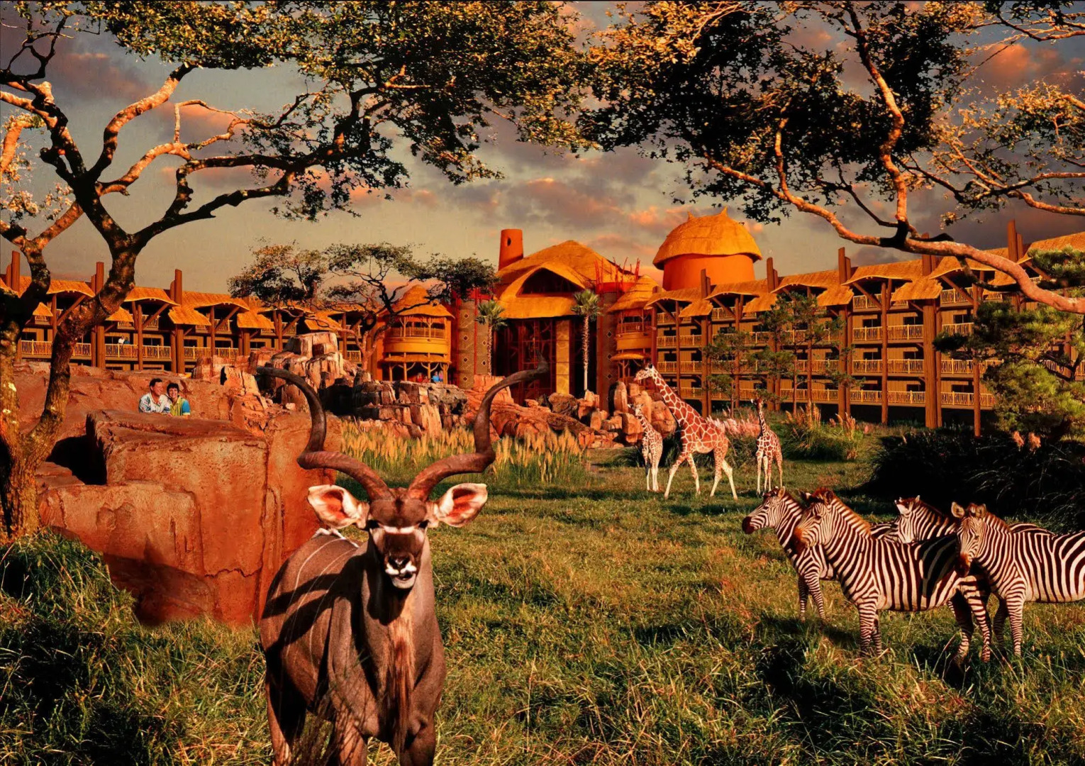 Disney's Animal Kingdom Villas - Jambo House
