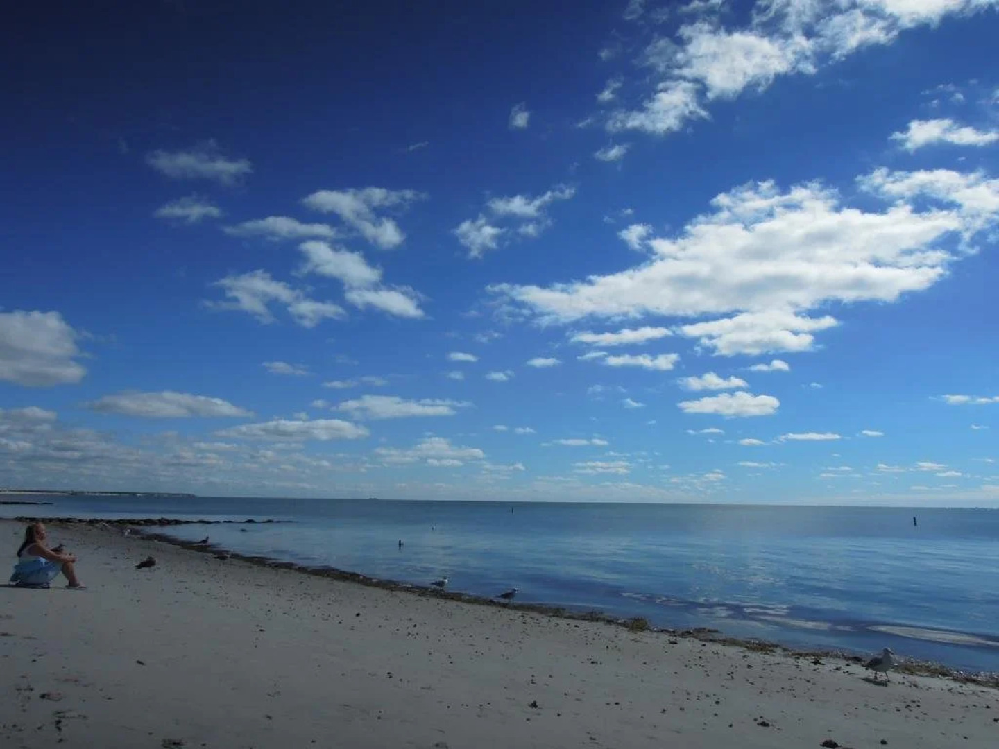 Surfcomber On The Ocean