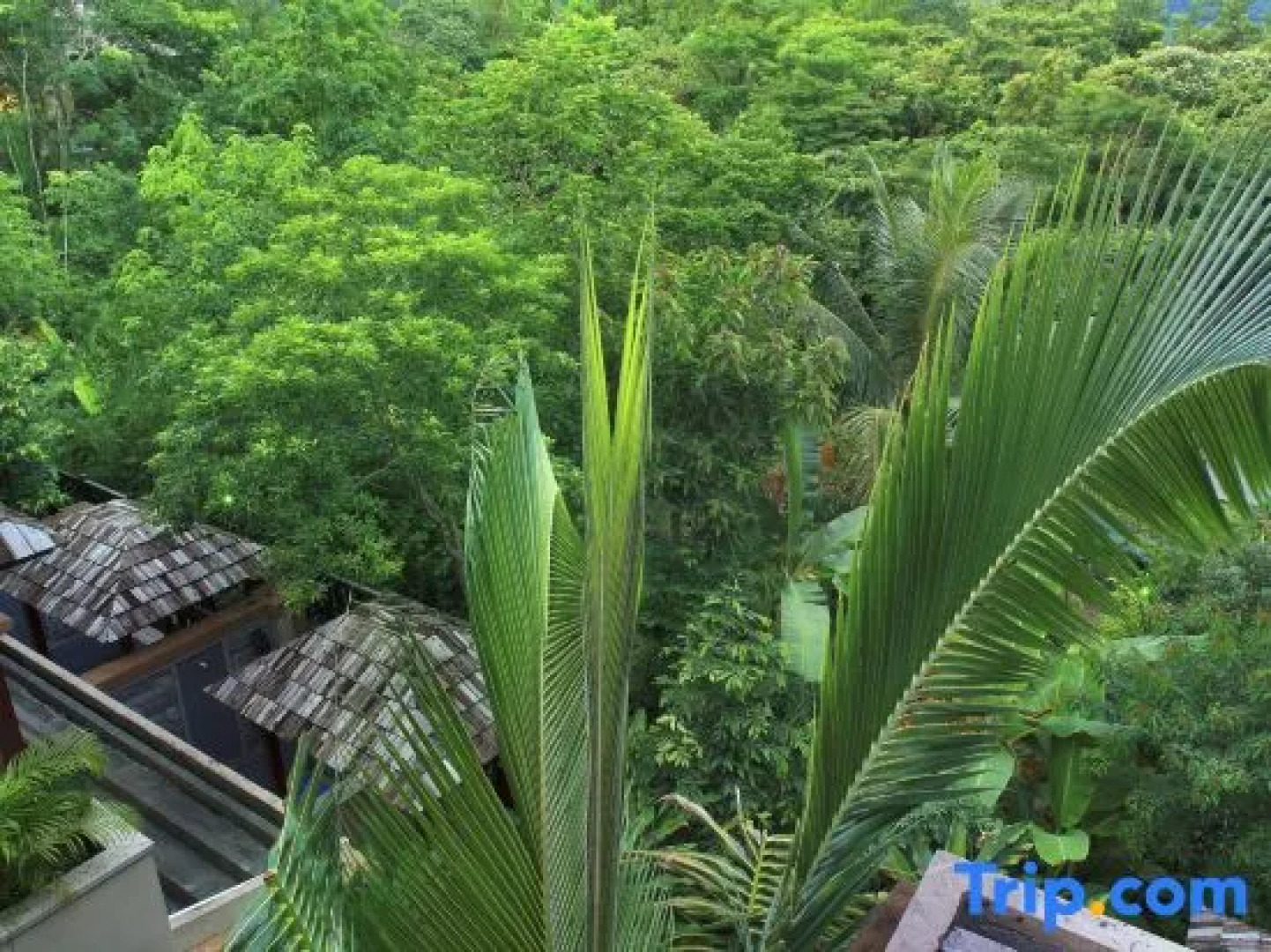 Baoting Rainforest Fairyland Resort & Spa Qixian Mount