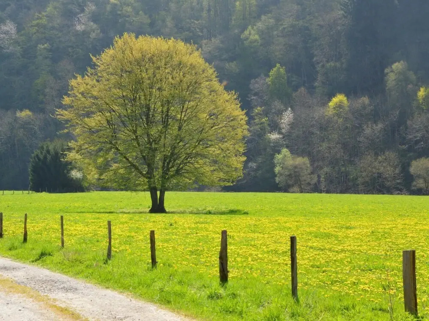 Stationed Between Namur and Lige, Holiday Home With Terrace and Garden