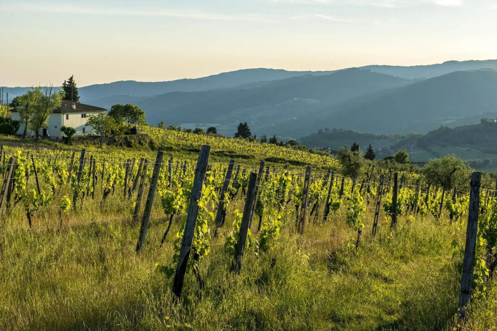Agriturismo Fattoria Lavacchio