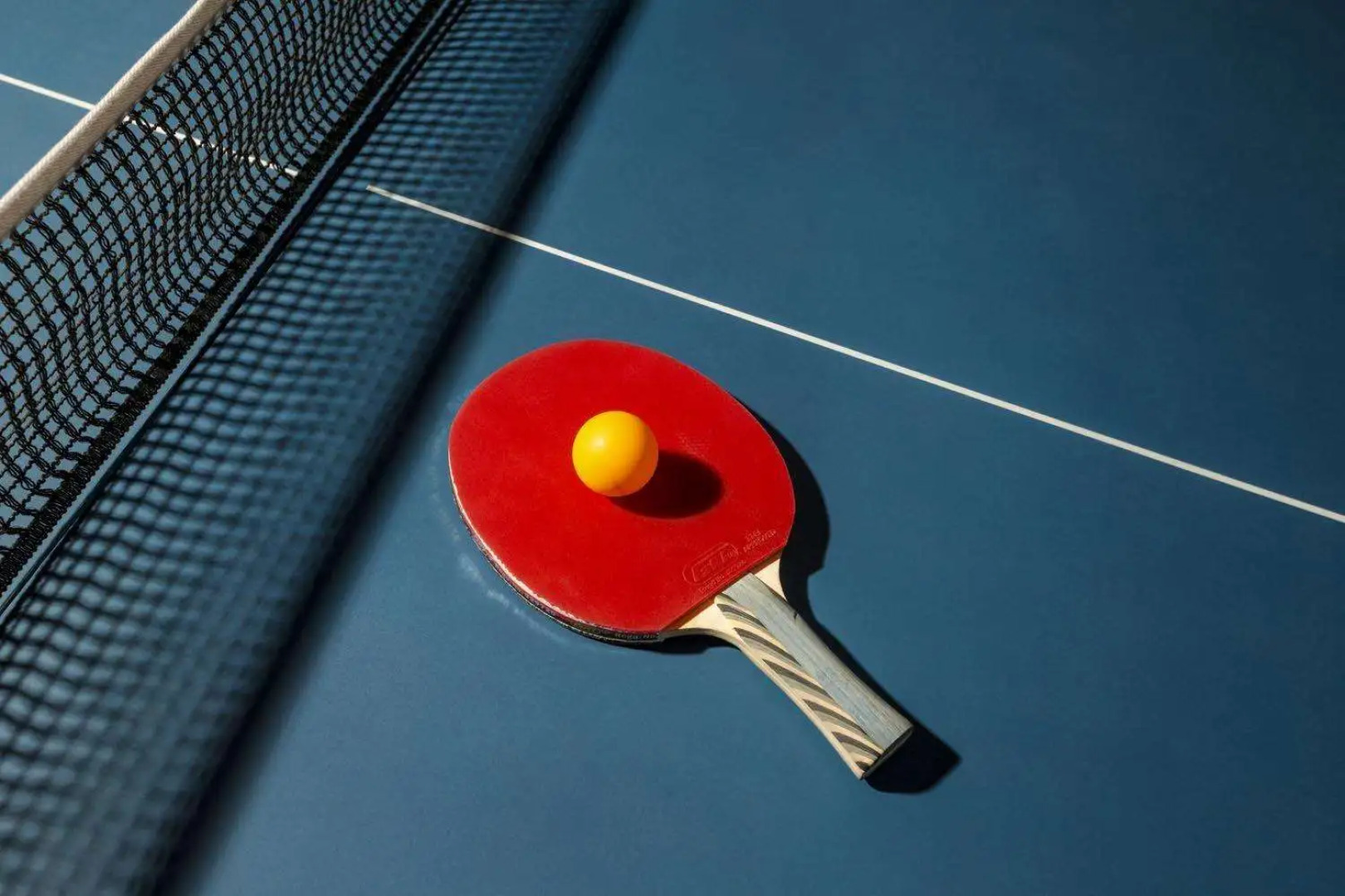 Clarks Exotica Convention, Resort & Spa