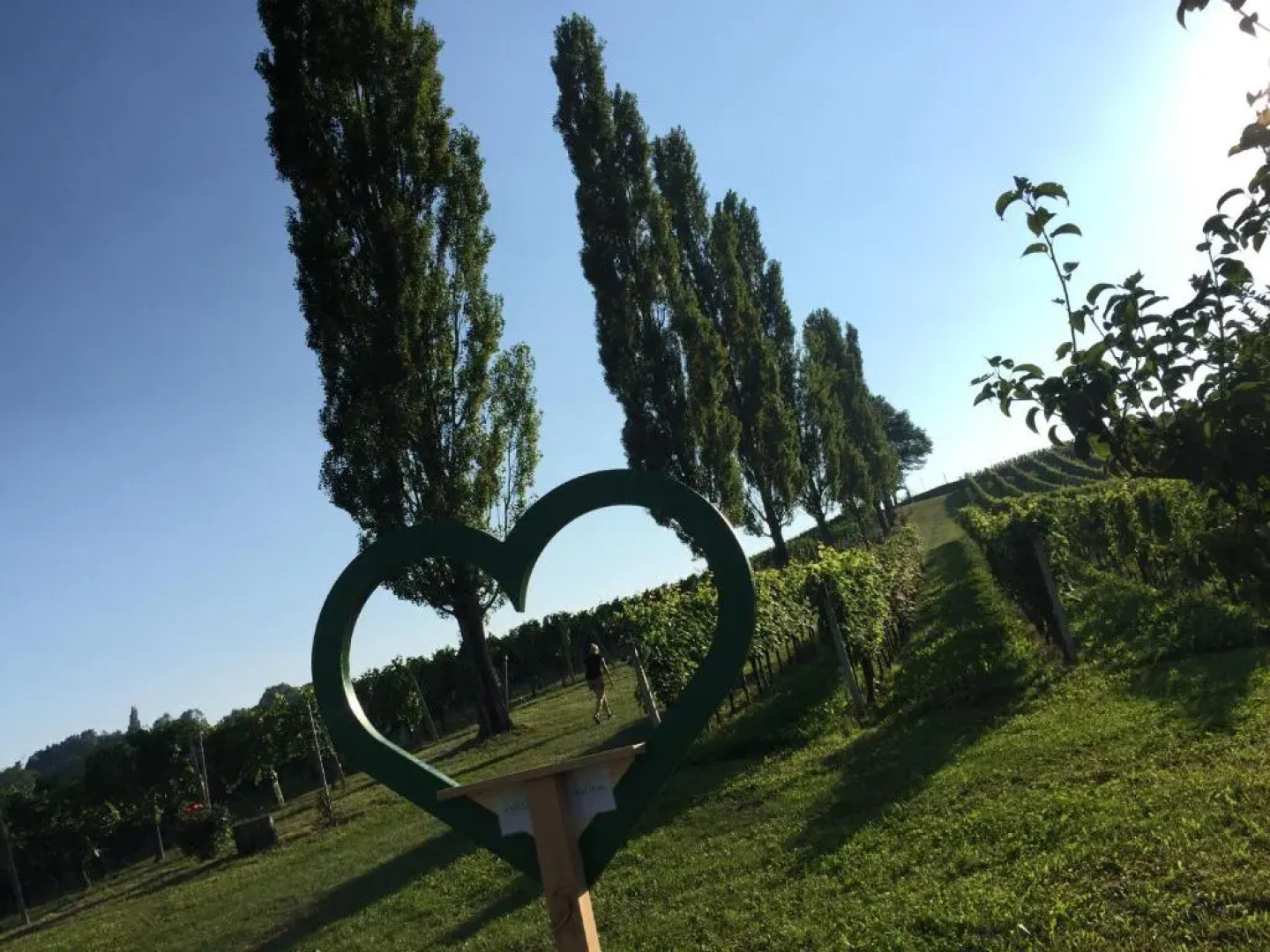 Hotel am Marktplatz - Landgasthof Wratschko