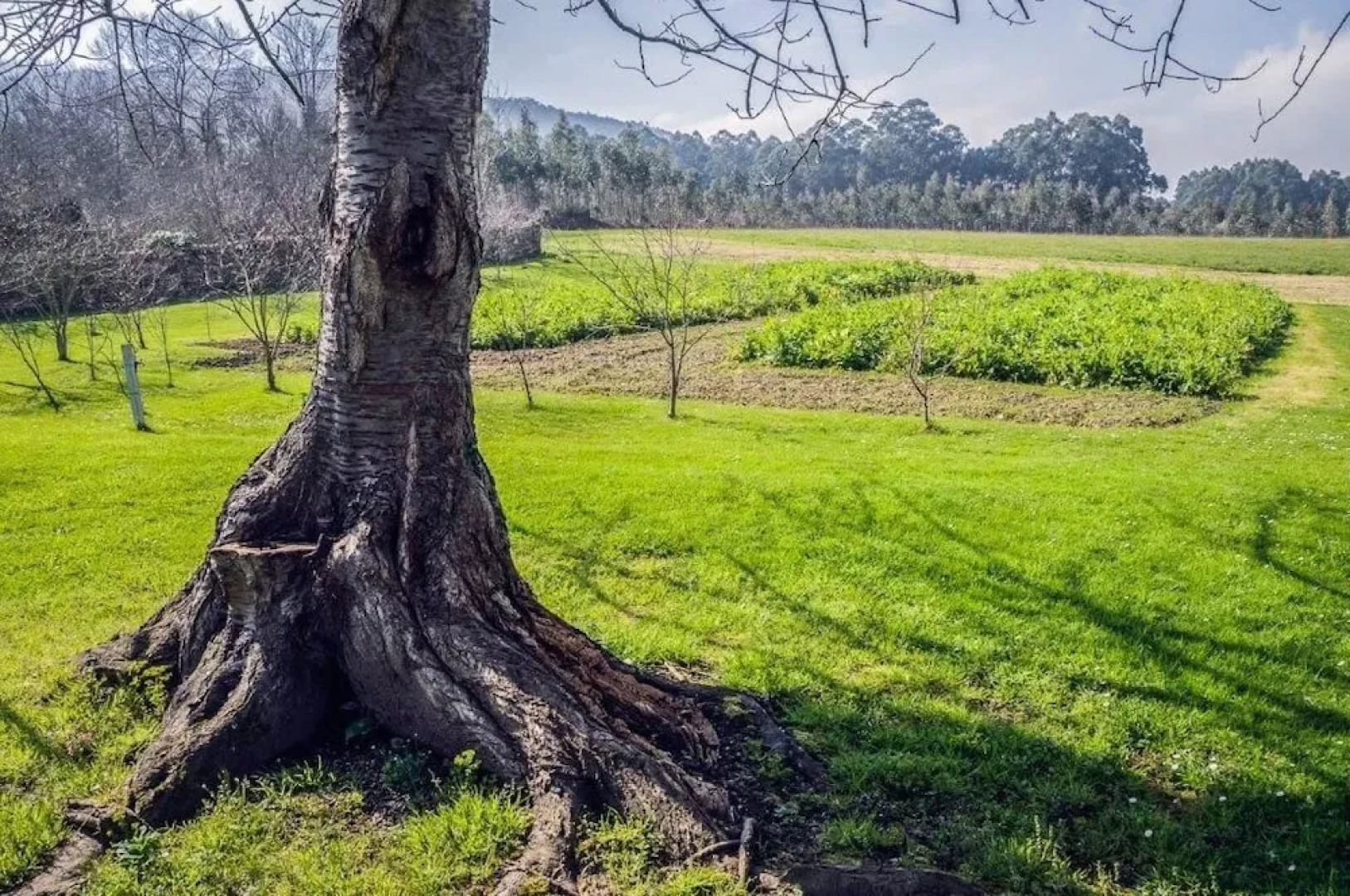 Apartamentos Casa Benito