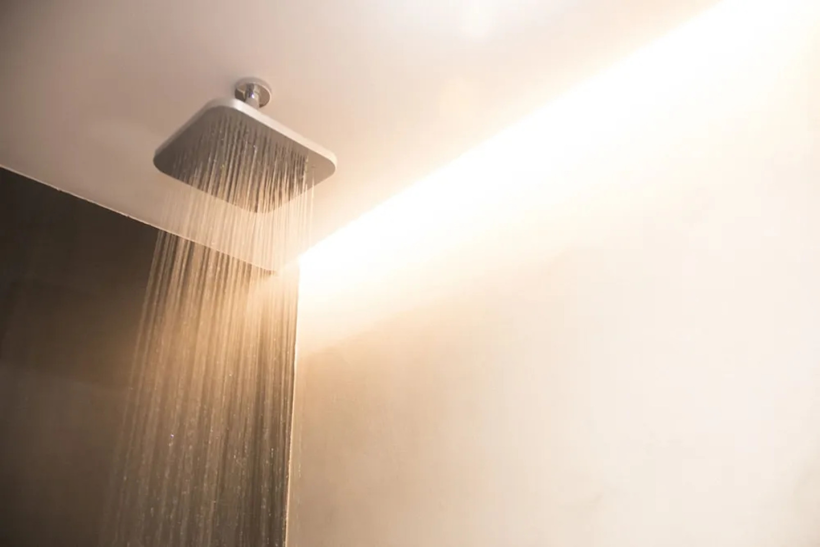 Welldone Antiquarium