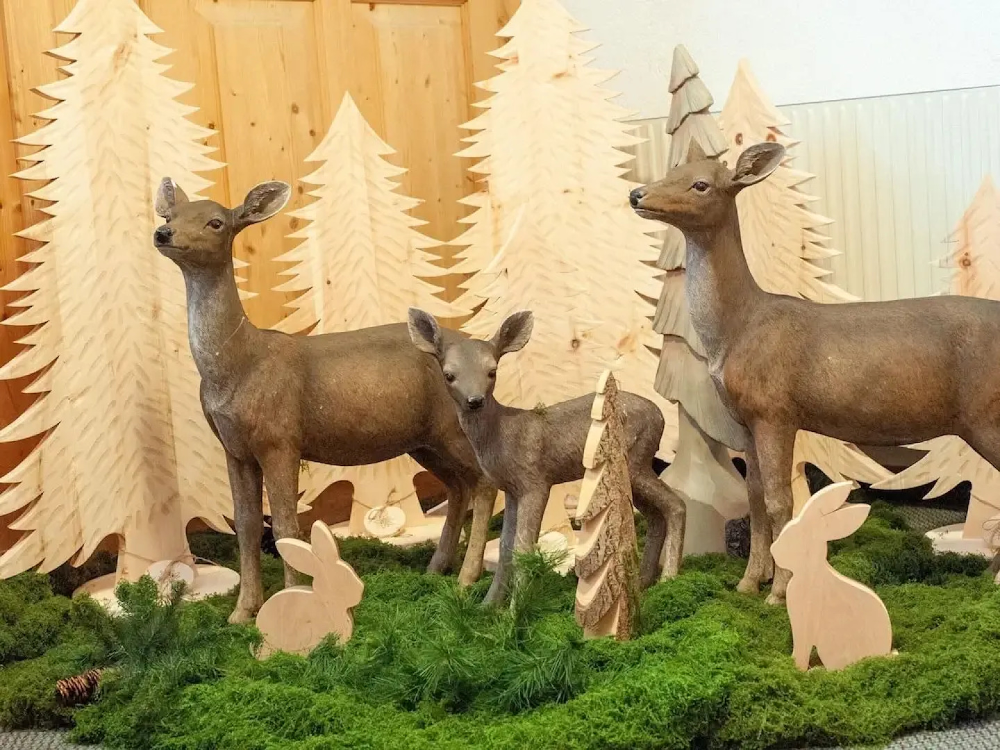 Wonderful Apartment With Panoramic Views