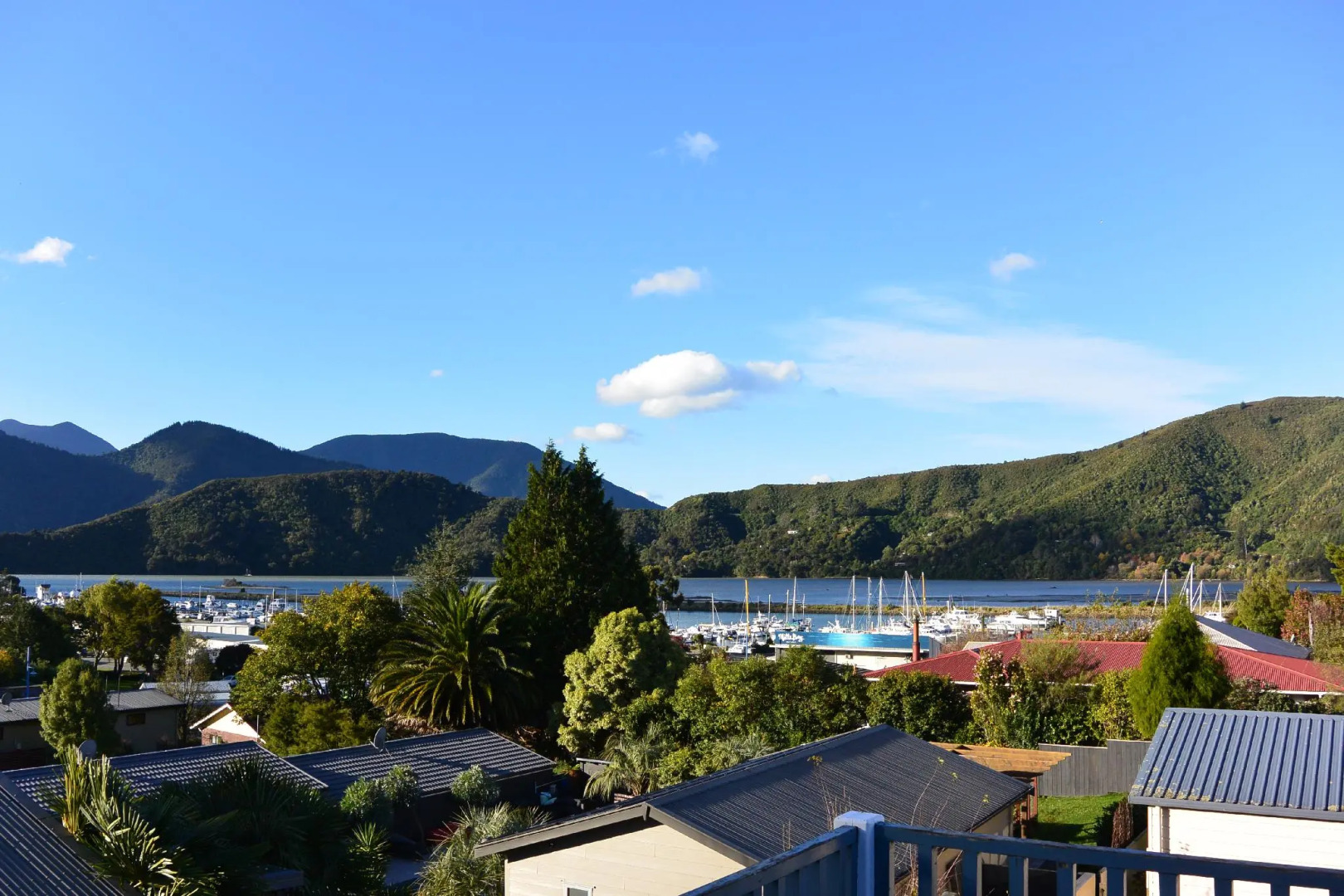 Bluemoon Lodge - Hostel