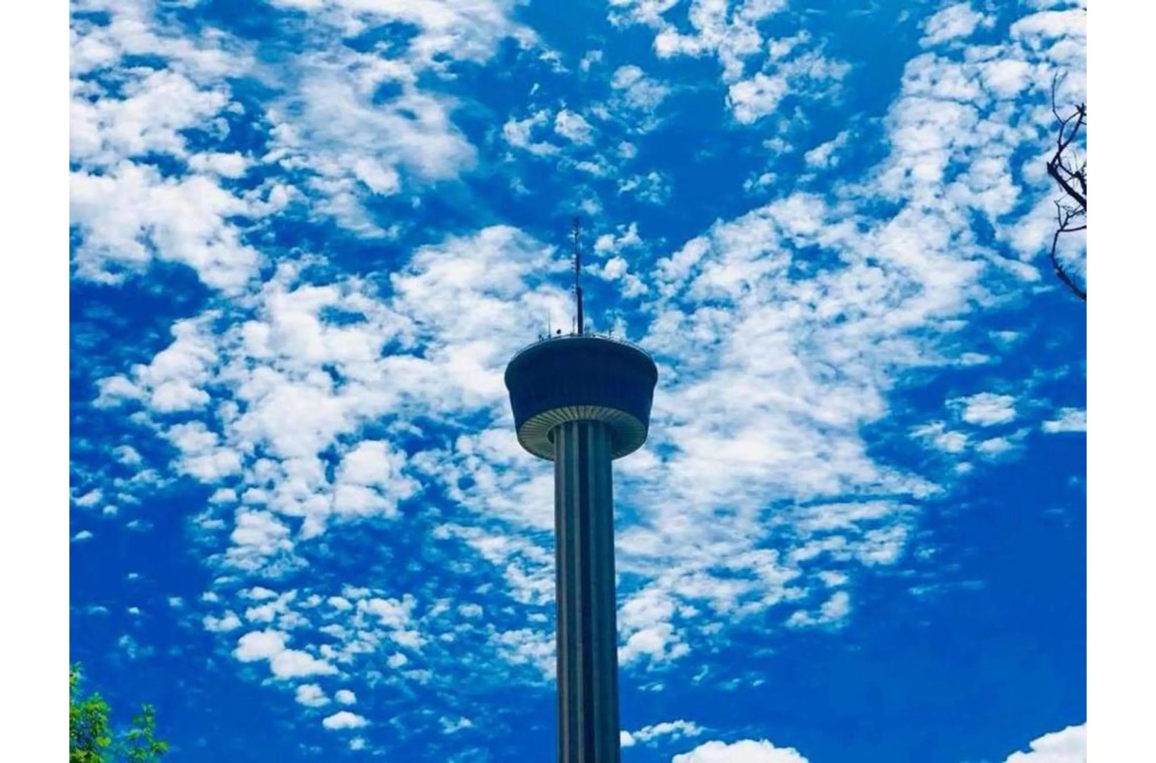 Tobin Hill 2/2 Apt#2 5minDT, 2min Pearl & St Marys