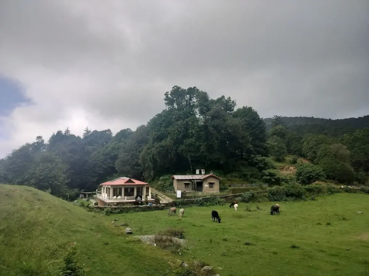 Simba Jungle Lodge, Binsar Wildlife Sanctuary