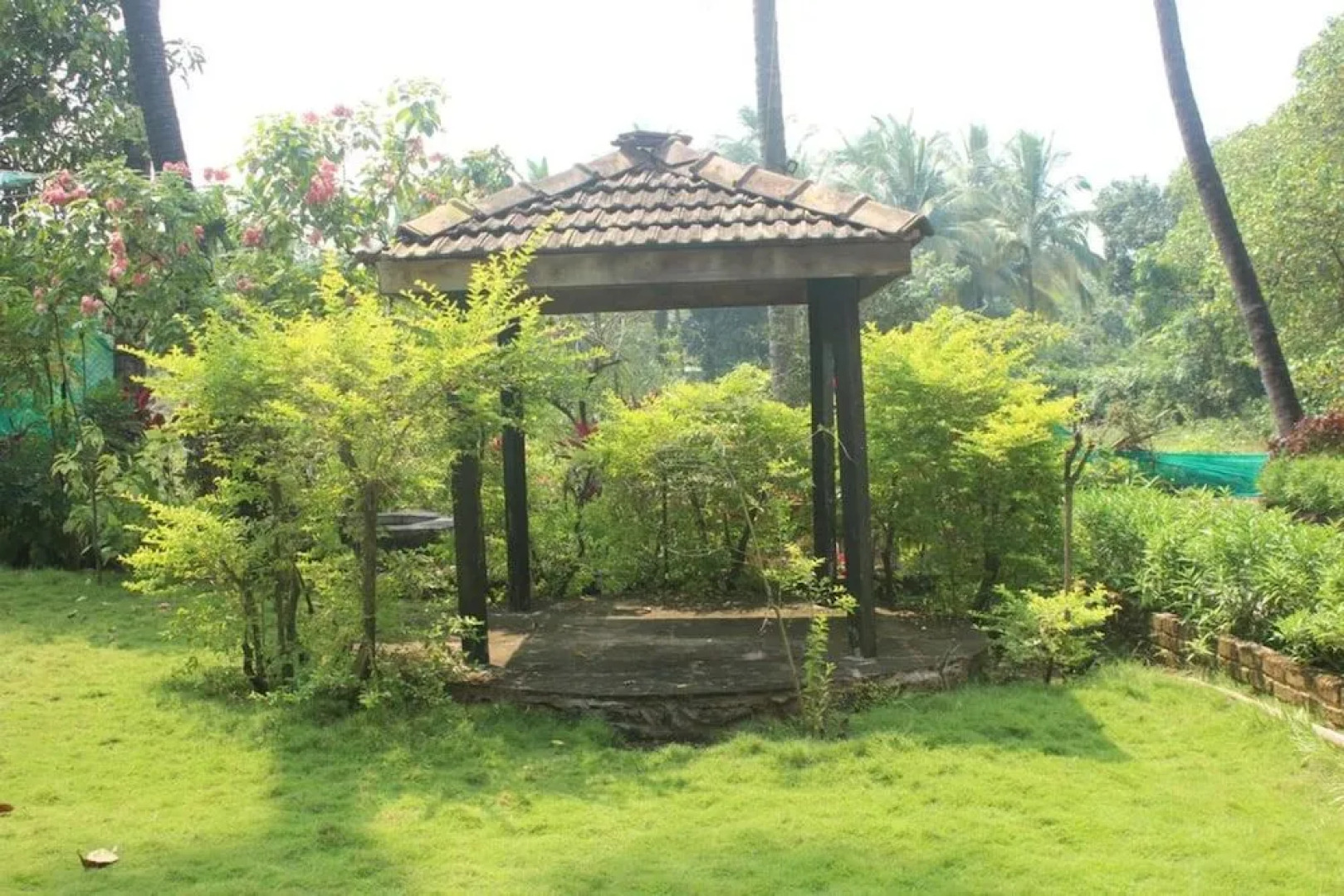 LSQ Luxuria (Nagaon)